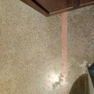 Terrazzo Floor With Color Border Used In The Toilets