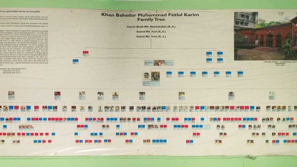 A family tree with a rich history