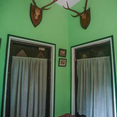The South Verandah Walls Are Ornamented With Hunted Animal Mounts2