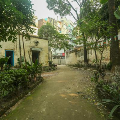 The Pathway In The Front Yard