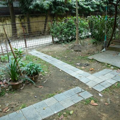 Semi Paved Path In The Landscape