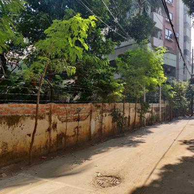 The West Road Beside The Property1