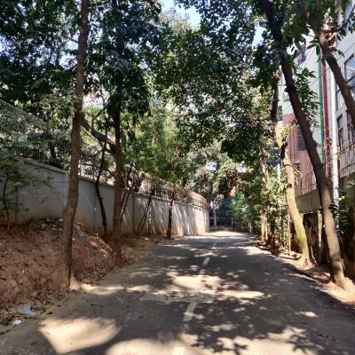 The West Road Beside The Property