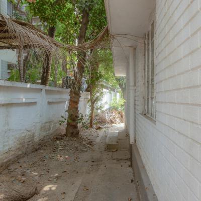 The East Boundary Wall And Plantation On The Setback