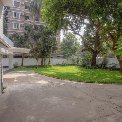 The Lawn Was A Refuge To Animals And Birds And Playspace For Children 2