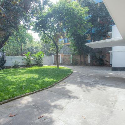 The Lawn Was A Refuge To Animals And Birds And Playspace For Children