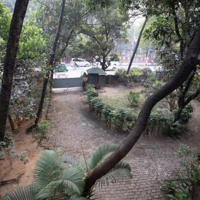 The Lawn Which Was An English Garden