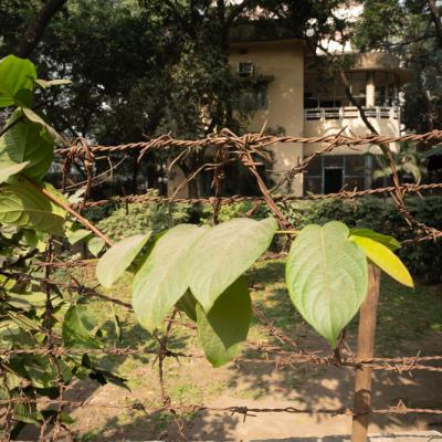 The Rust Boundary Reflects Absence Of Residents At The House