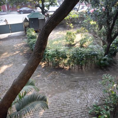 The Lawn Which Was An English Garden