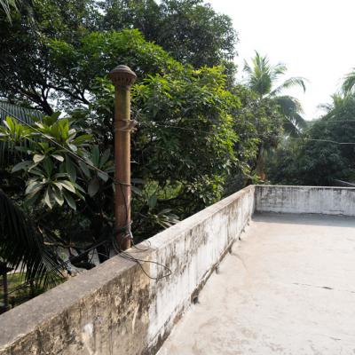 The Roof And Surrounding Greenery